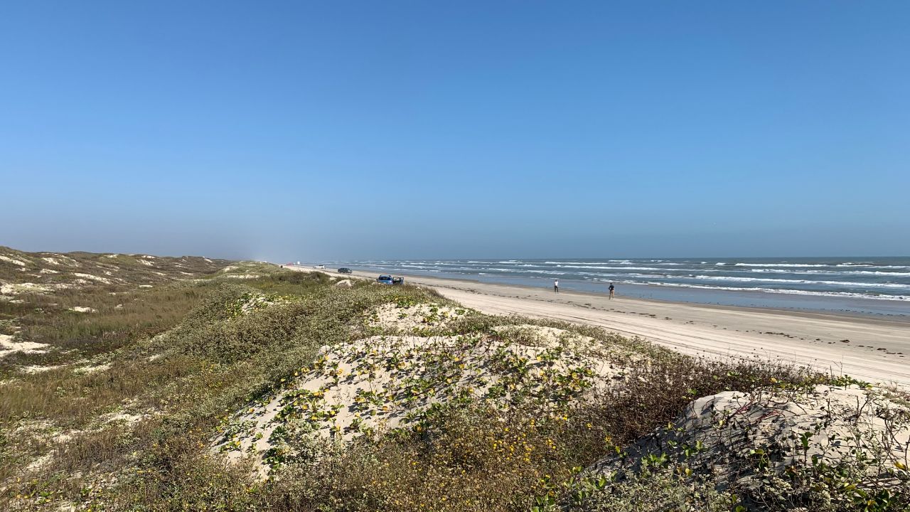 Padre Island National Seashore Texas