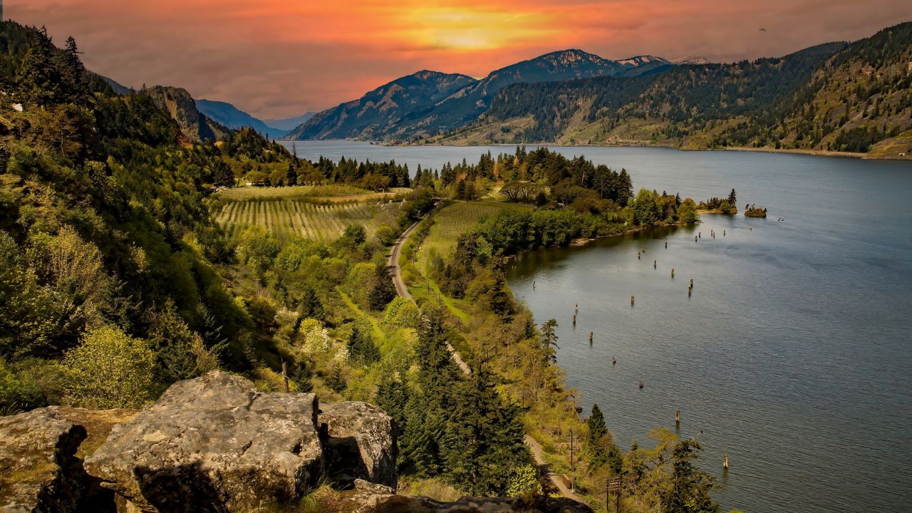 Columbia River Gorge National Scenic Area, The Columbia River Gorge is a canyon of the Columbia River in the Pacific Northwest of the United States. A railroad and pear orchard are on the shore.