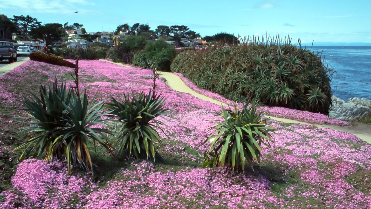 17-Mile Drive in Pebble Beach, California