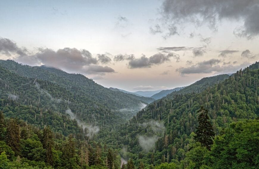 Great Smoky Mountains National Park is an American national park in the southeastern United States, with parts in Tennessee and North Carolina