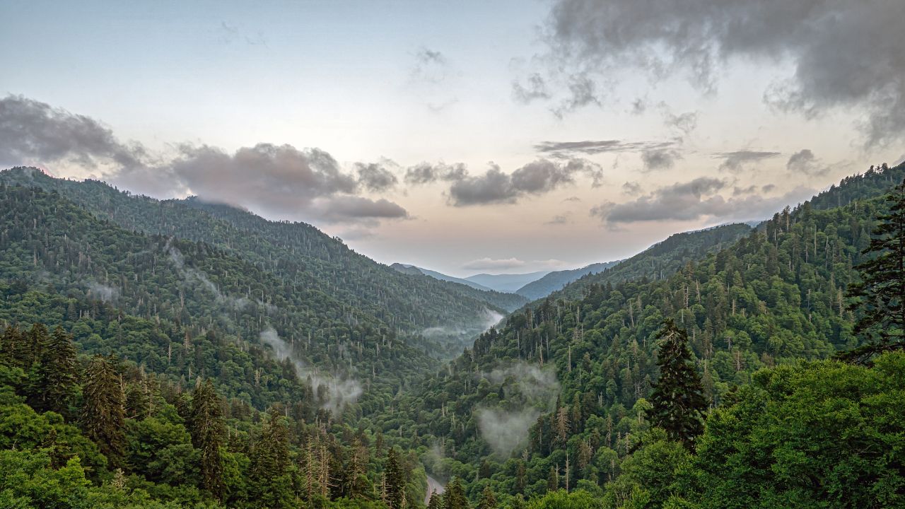 Great Smoky Mountains National Park is an American national park in the southeastern United States, with parts in Tennessee and North Carolina