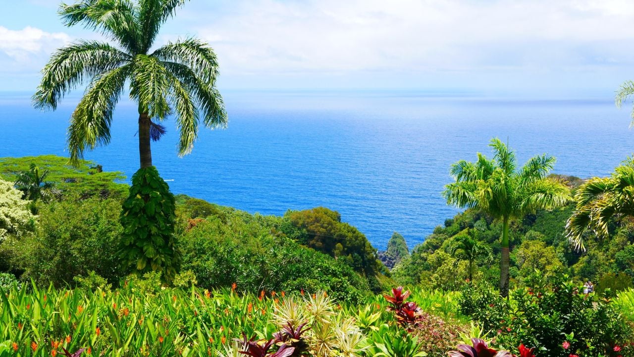 A Hawaiian view on the sea