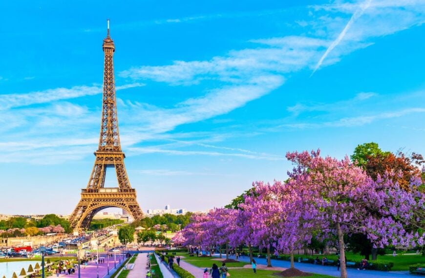 Eiffel Tower with Magnolia flowers. Spring view on Paris, France.