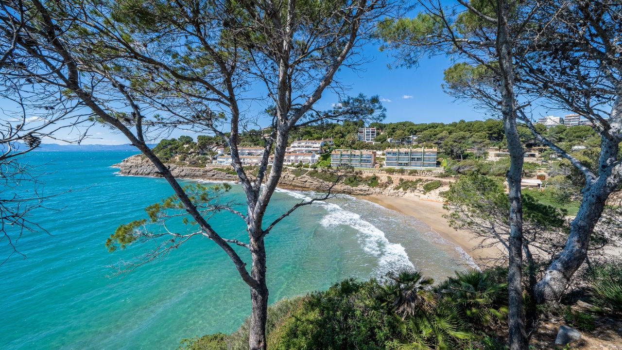 A small cove beach framed by pine trees along the Saint-Tropez coastline, French Riviera