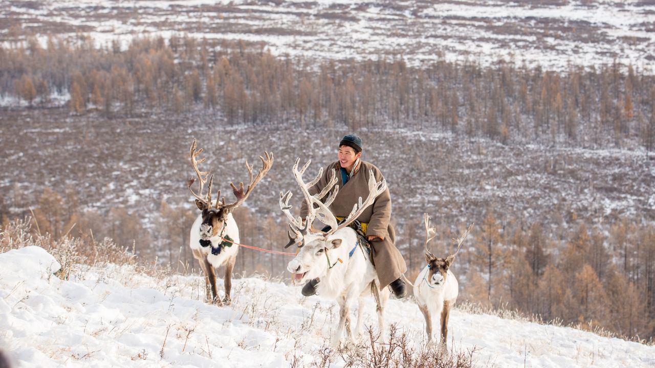 Tsaatan family on their Reindeers ,reindeer herders camp on the background , near Russia border at Taiga, Mongolia