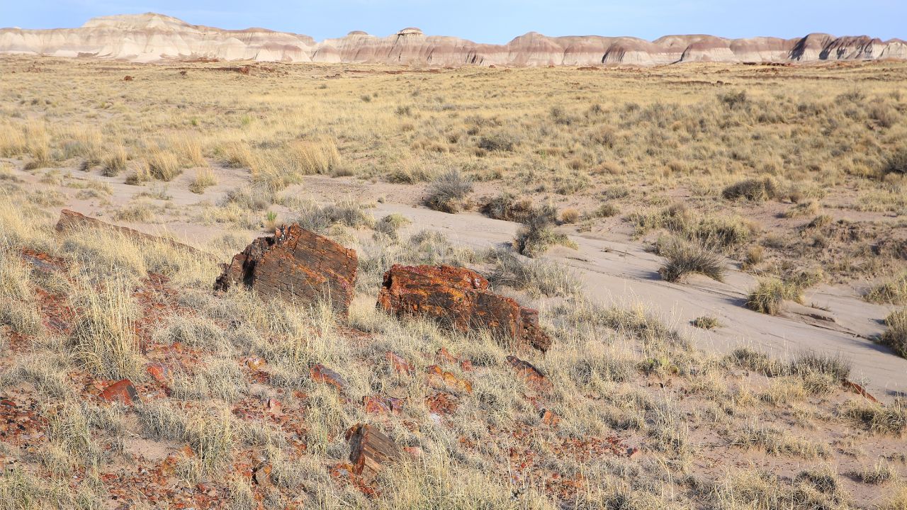 Petrified Forest National Park in Arizona, USA