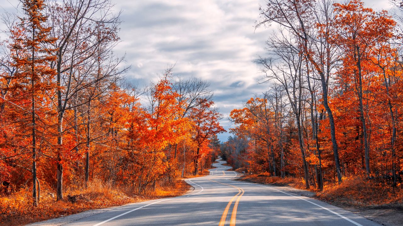 A Road at Autumn in Door County of Wisconsin