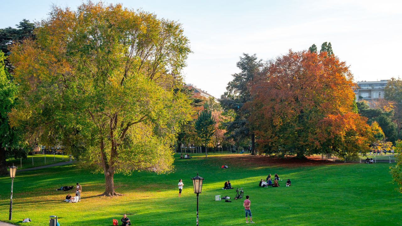 Vienna, Austria 25 November 2019 - People relaxing in a park