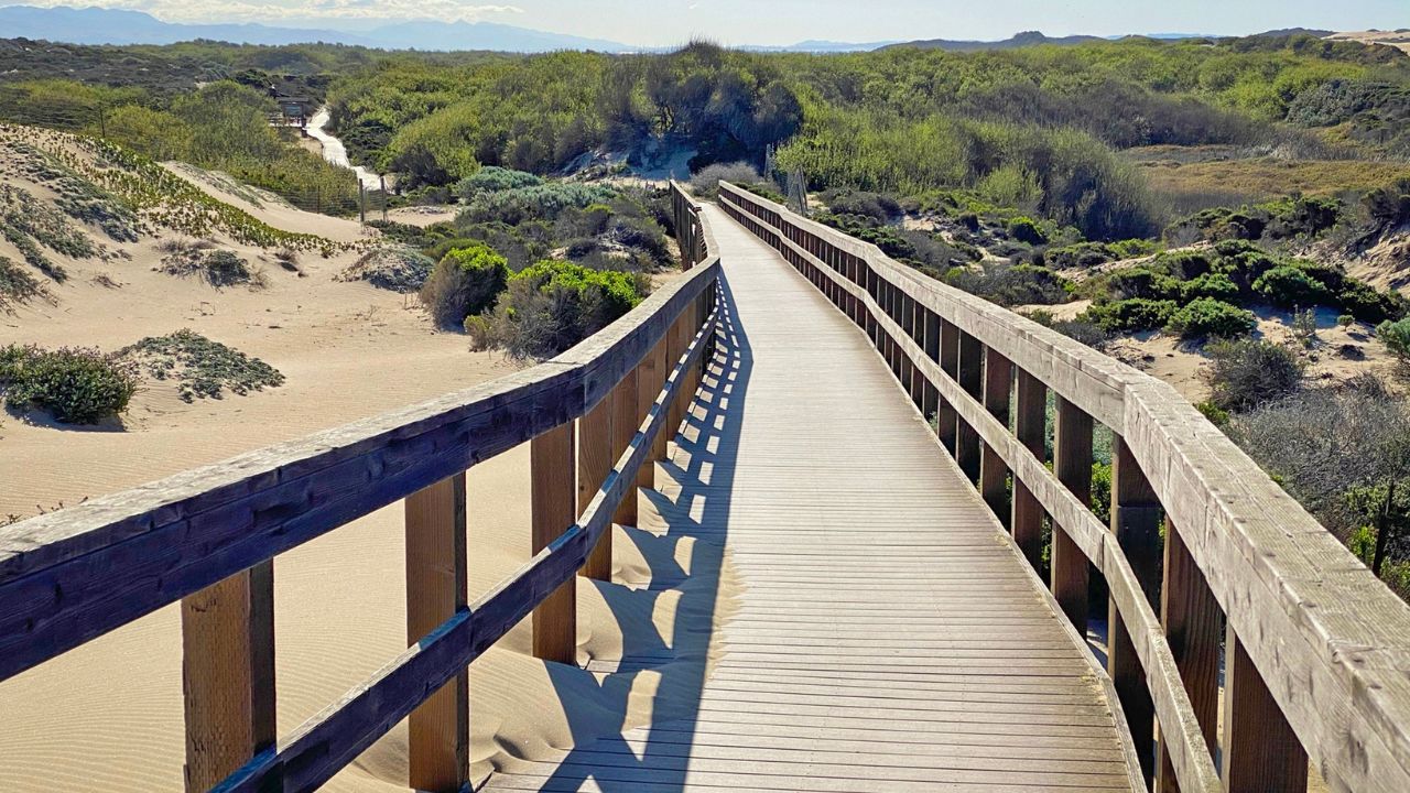 Boardwalk trail over vegetated sand dunes at Oso Flaco Beach, Guadalupe Nipomo Dunes, California