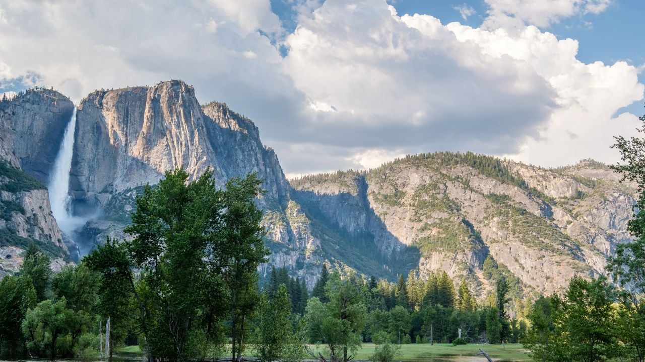 Yosemite National Park Valley summer landscape with Yosemite Falls. California, USA.