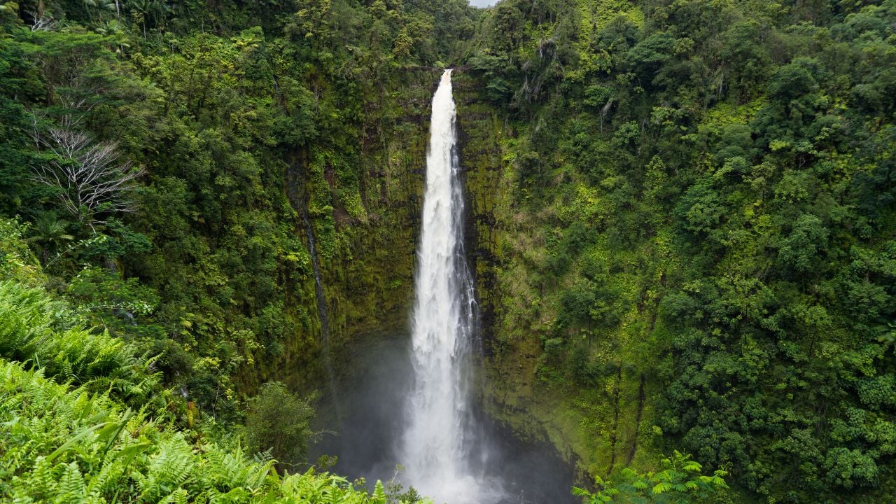Akaka Falls, spectacular 442-foot waterfall on Hawaiʻi Island