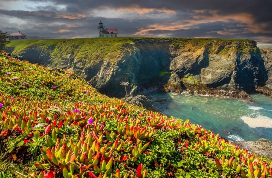 This Stretch of California’s Highway 1 Turns a Scenic Drive Into the Road Trip of a Lifetime, and No, It’s Not Big Sur