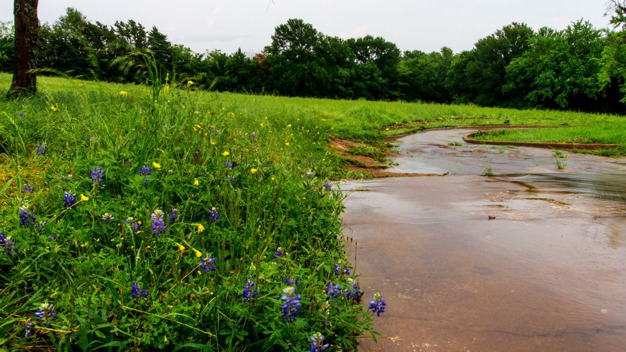 Stream, Bluebonnet Park, Ennis, Texas
