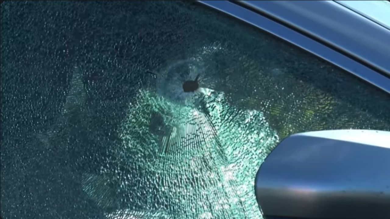 Morning Commute Turns Terrifying After Gunfire Erupts on Sacramento Freeways.