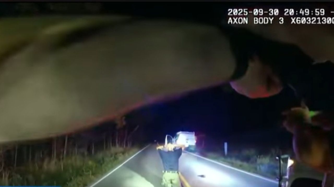 Wrong Truck, Big Consequences: Inside a Police Chase Gone Wrong.