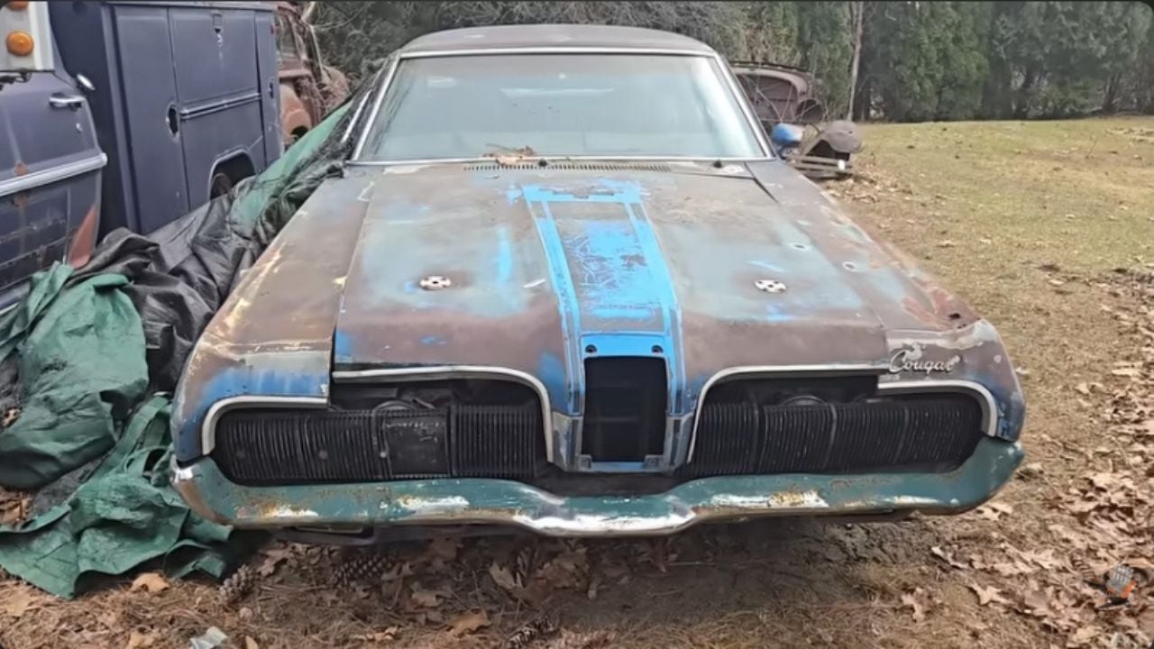 A Legendary Cougar Eliminator Emerges From Years of Neglect, Though Not Intact.
