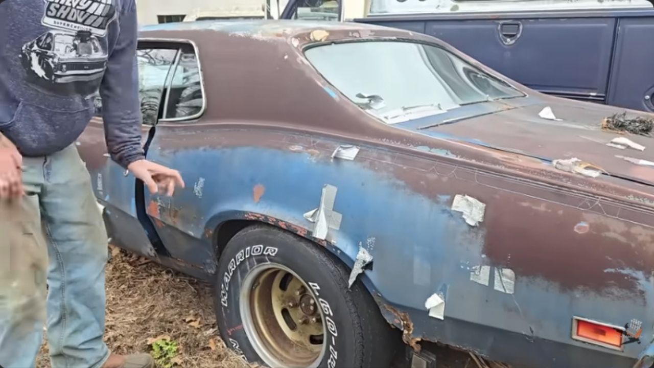 A Legendary Cougar Eliminator Emerges From Years of Neglect, Though Not Intact.