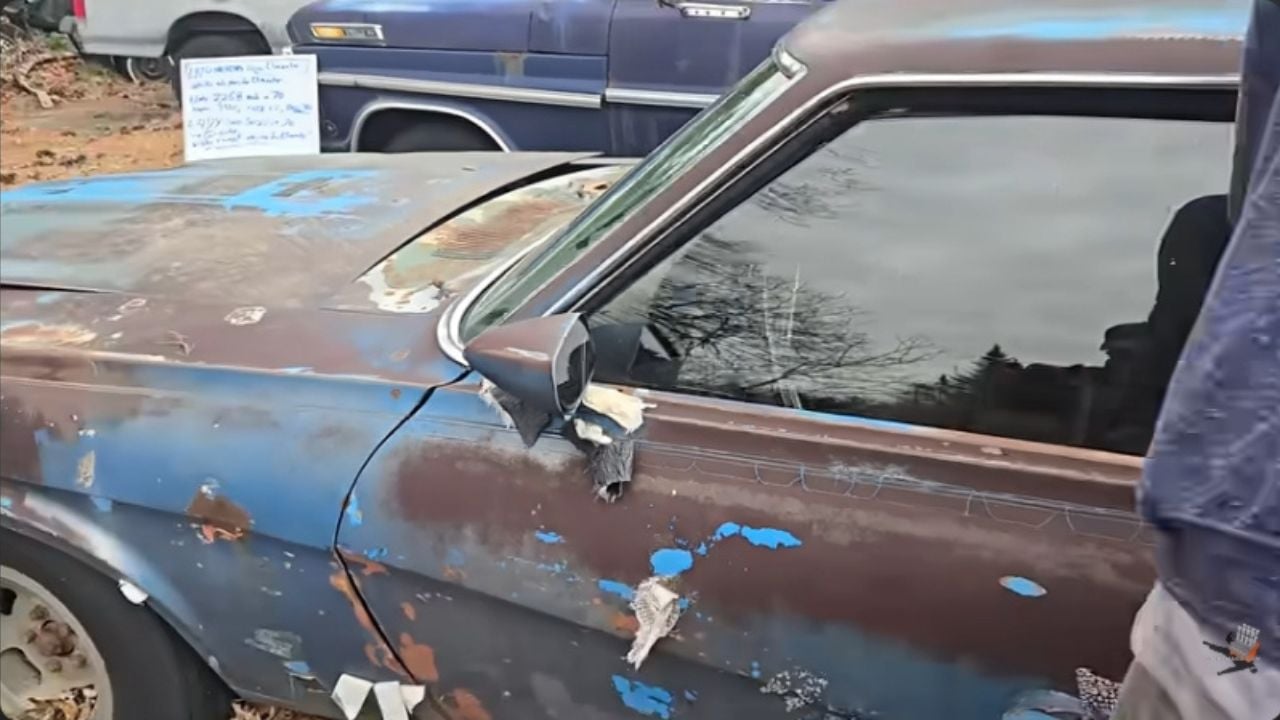 A Legendary Cougar Eliminator Emerges From Years of Neglect, Though Not Intact.