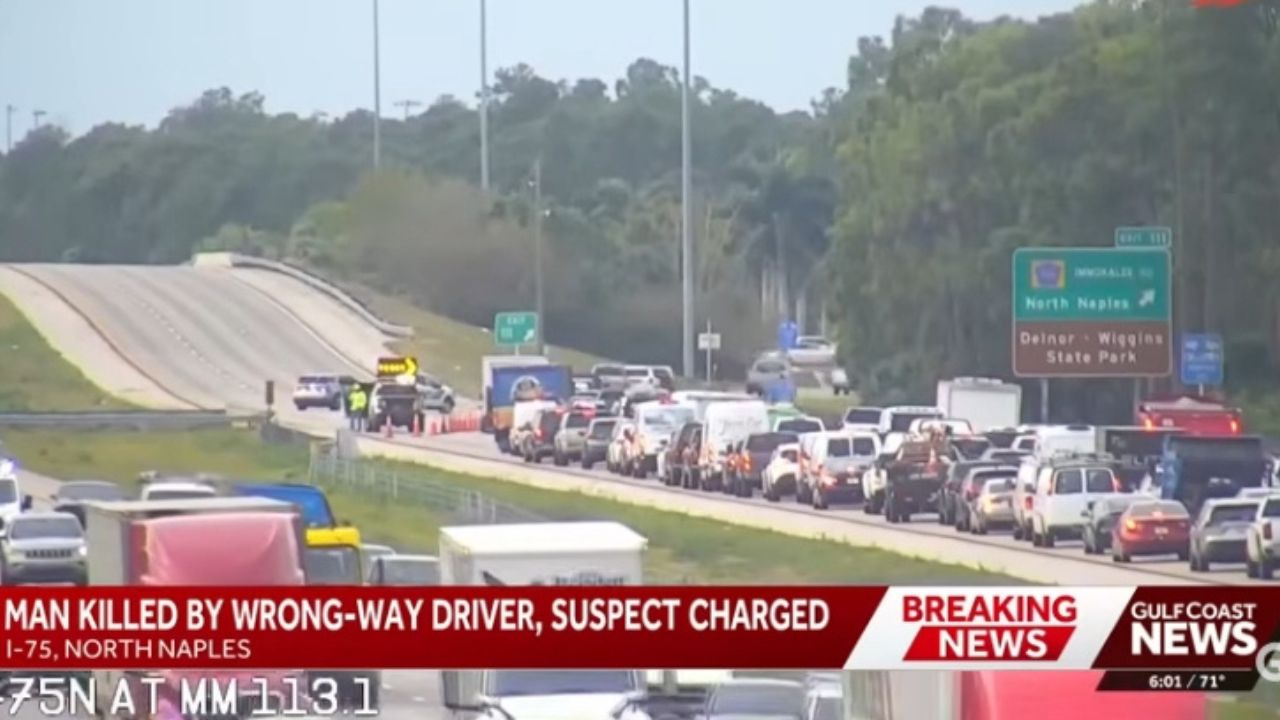 Hours After Posting Her Night Out, a Deadly Wrong-Way Crash.