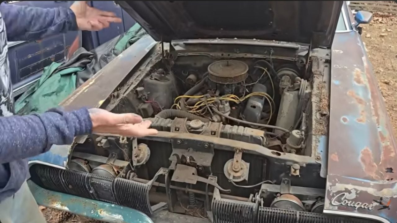 A Legendary Cougar Eliminator Emerges From Years of Neglect, Though Not Intact.
