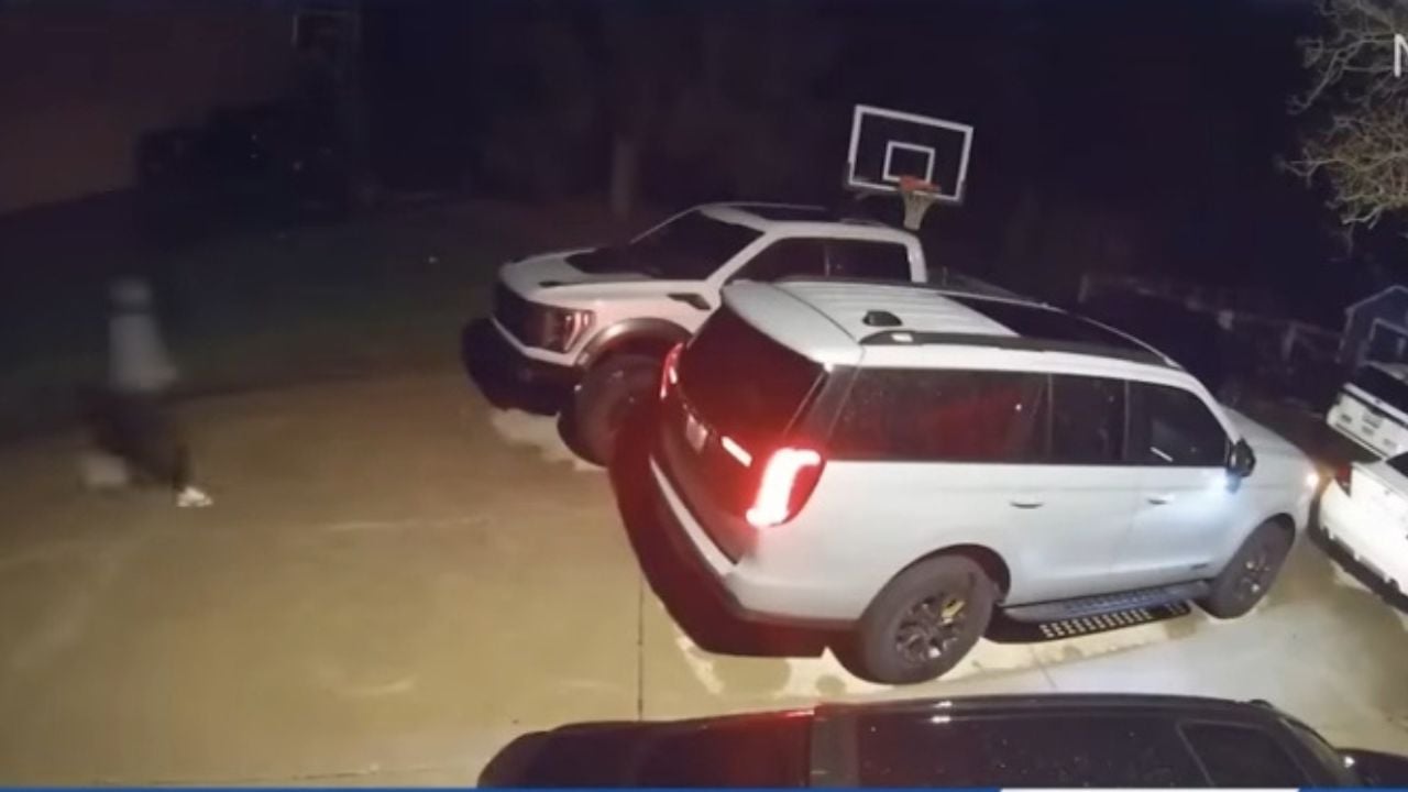 Custom Ford Raptor stolen from owner's home.