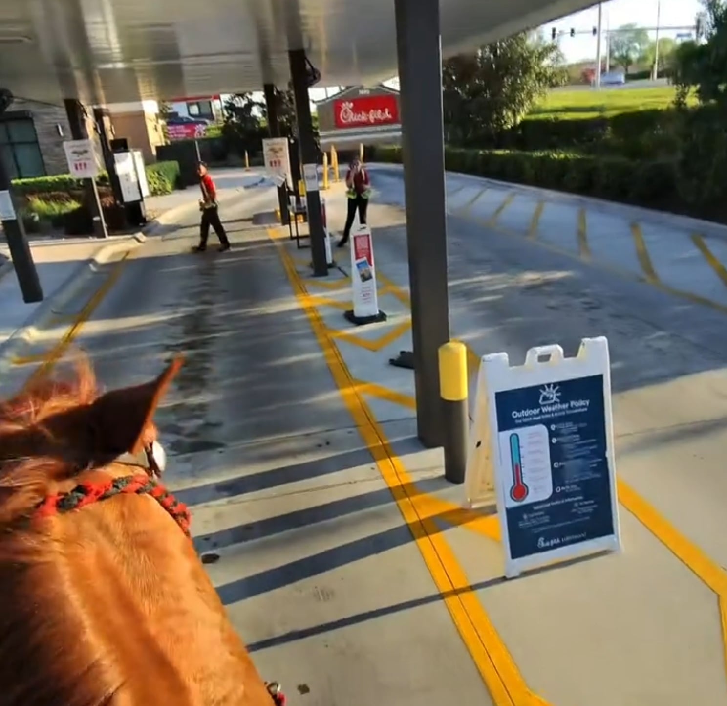 horse going to chick fil et