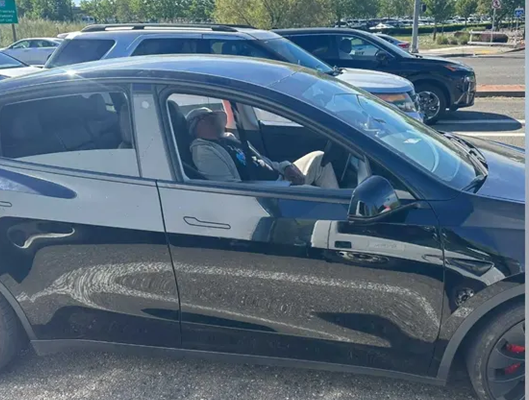 man passed out in tesla