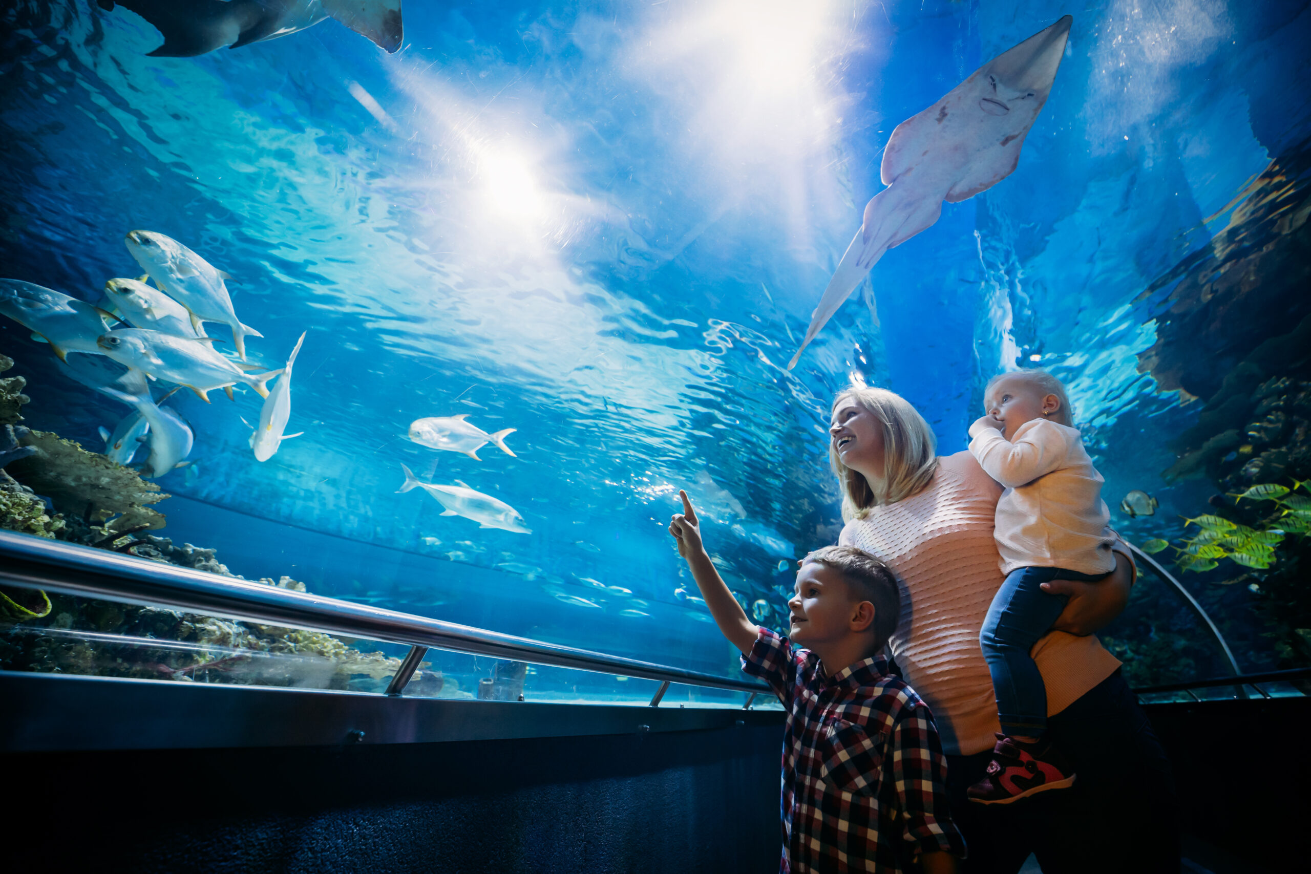 Mother and her child watching sea life