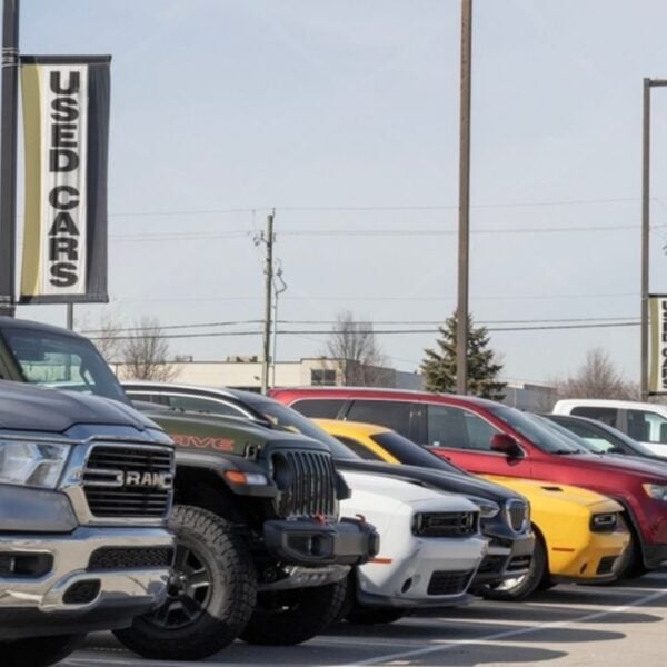 clean dealership lot with rows of used cars