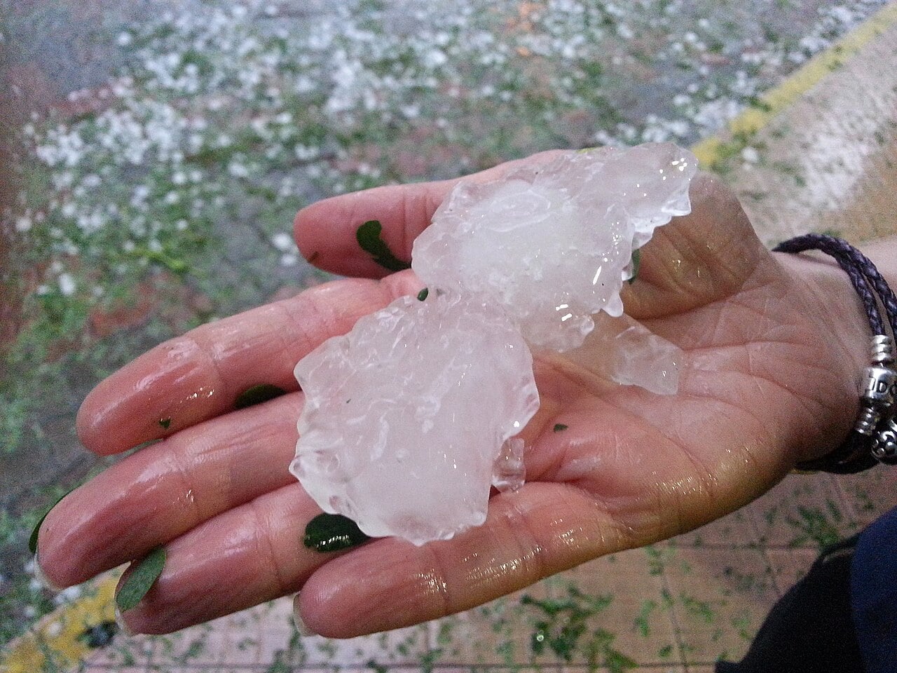 Picture taken during the hailstorm on 27 November in the Brisbane CBD. Showing the relative scale and size of typical hailstones that fell.