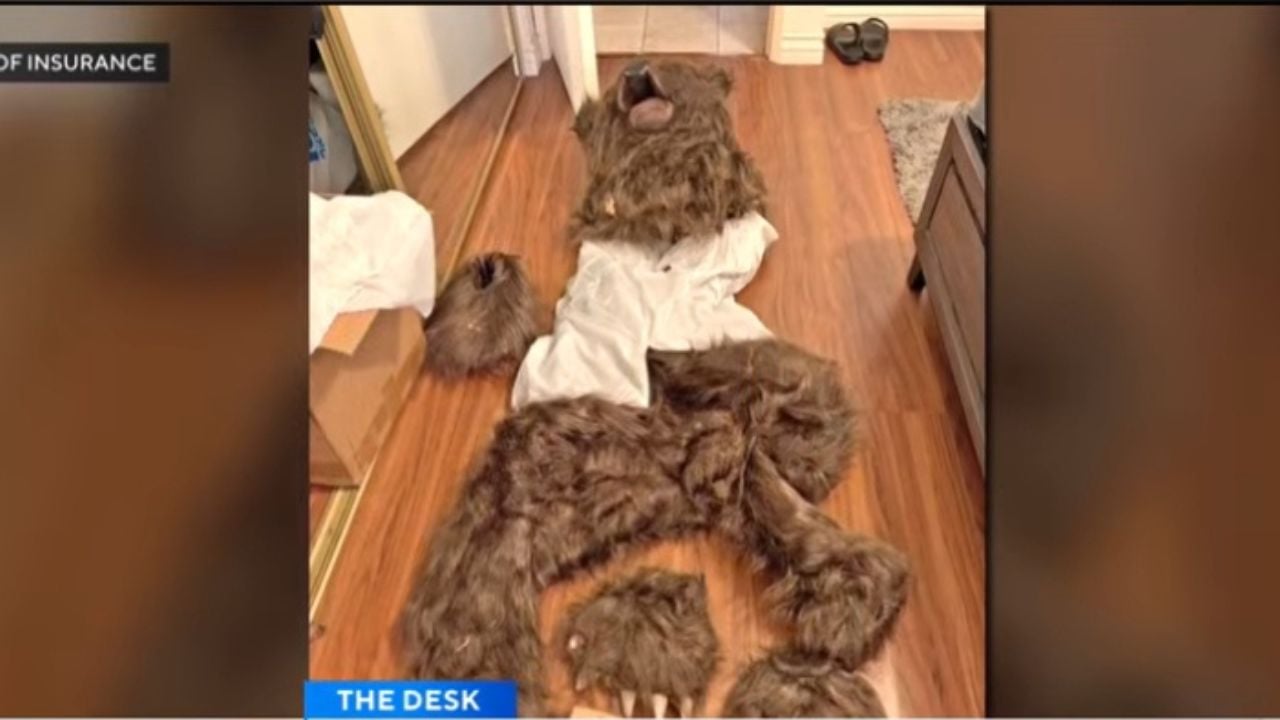 They Tried to Outsmart Insurers With a Bear Suit. It Didn’t End Well.