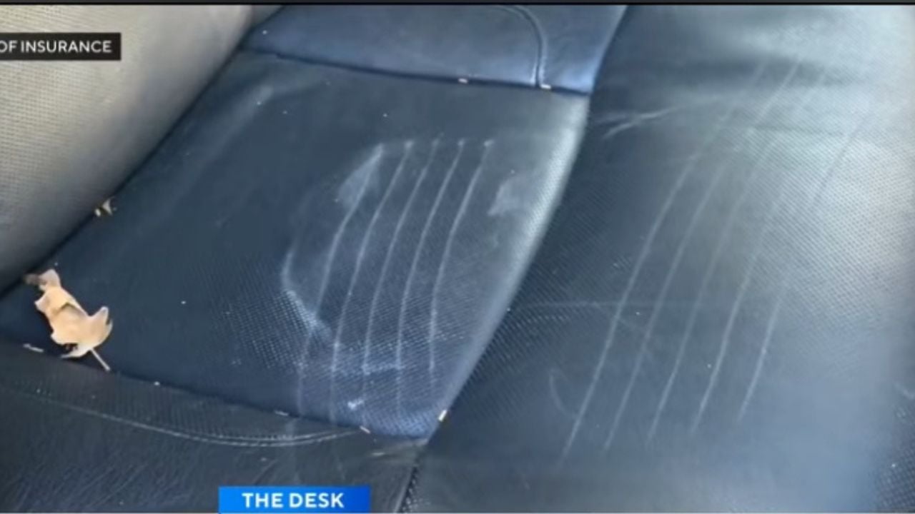 They Tried to Outsmart Insurers With a Bear Suit. It Didn’t End Well.