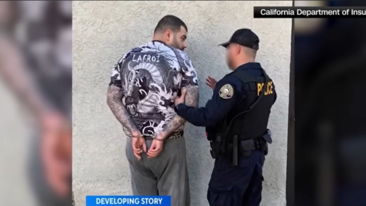 They Tried to Outsmart Insurers With a Bear Suit. It Didn’t End Well.