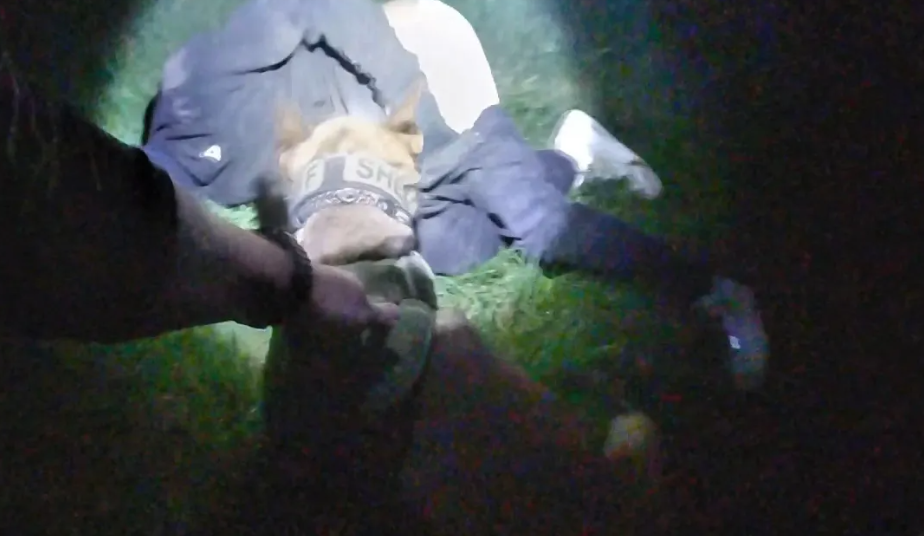 13 year old boy gets arrested