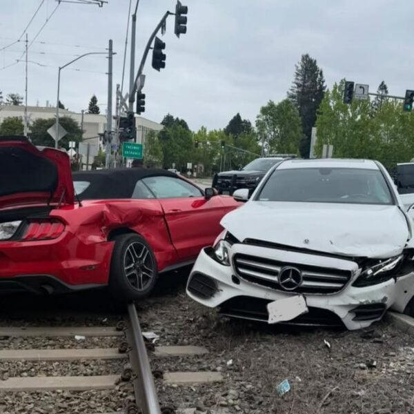 120 MPH Mustang Driver’s ‘Late for Work’ Excuse Falls Flat After California Police Chase Ends in Crash on Railroad