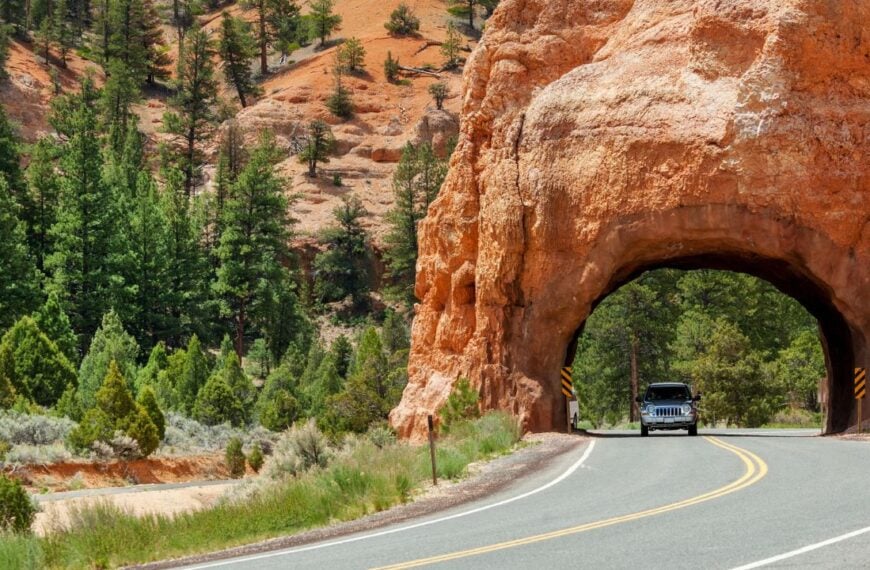 The Great American Road Trip Makes a Comeback