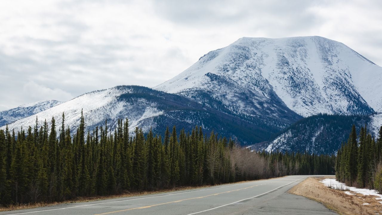 Highway near Tok, Alaska