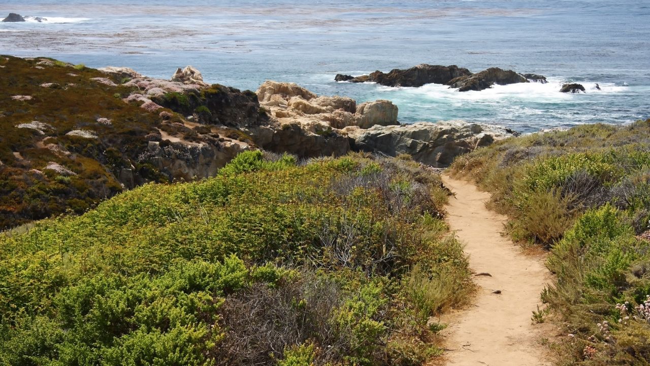 Hiking trail in Big Sur, California