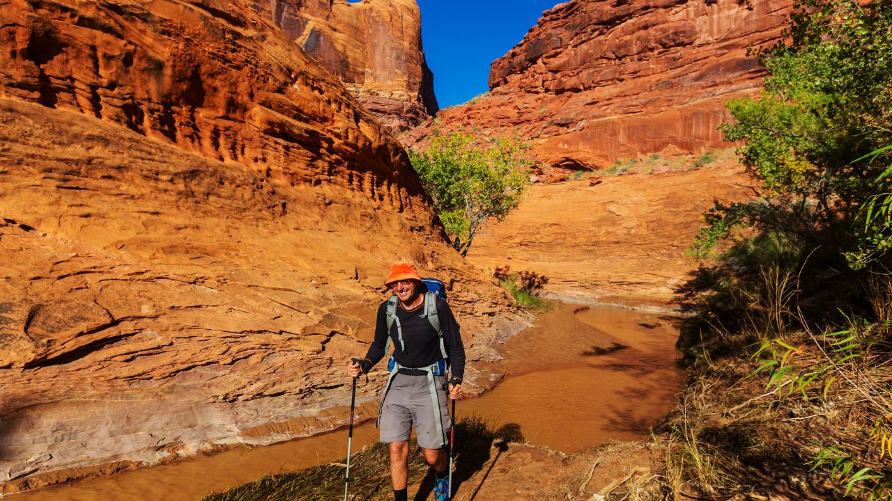 Sandstone formations at White Pocket in Vermilion Cliffs National Monument