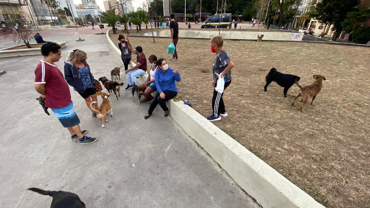 Sao Paulo, Brazil - 06/24/2020: Dog owners hanging out with their dogs in Sao Paulo after the flexibilization of the quarantine in the city.