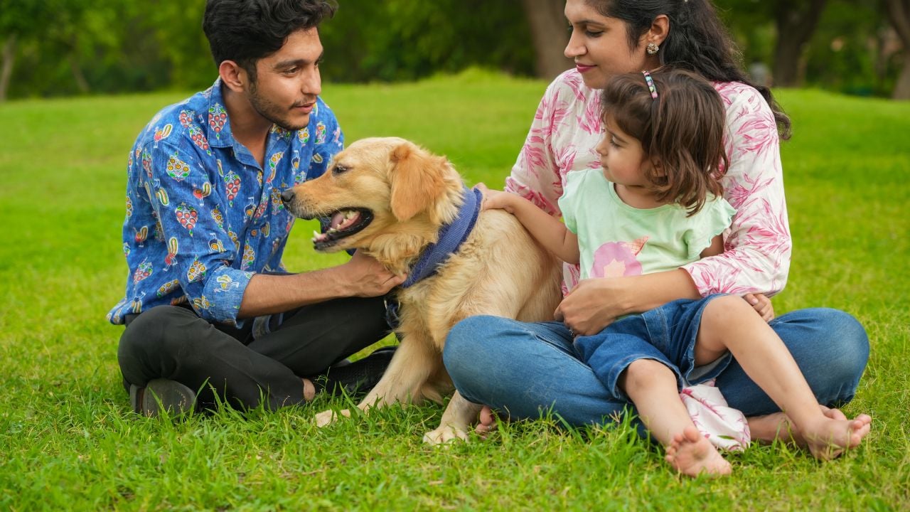 Happy young indian family having fun together at summer park. Mother, father and daughter with labrador dog in garden.