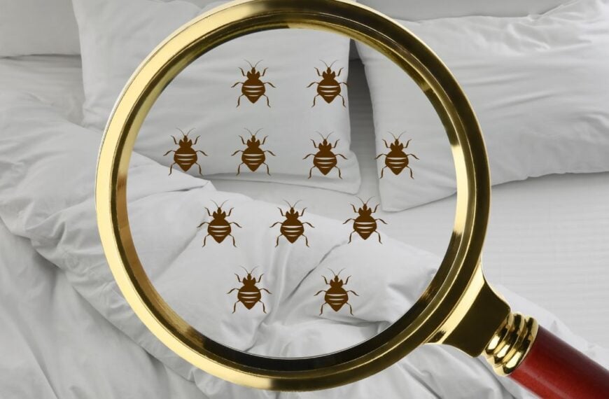 Former Hotel Staff Says Always Turn Off the Lights When You Enter Your Room