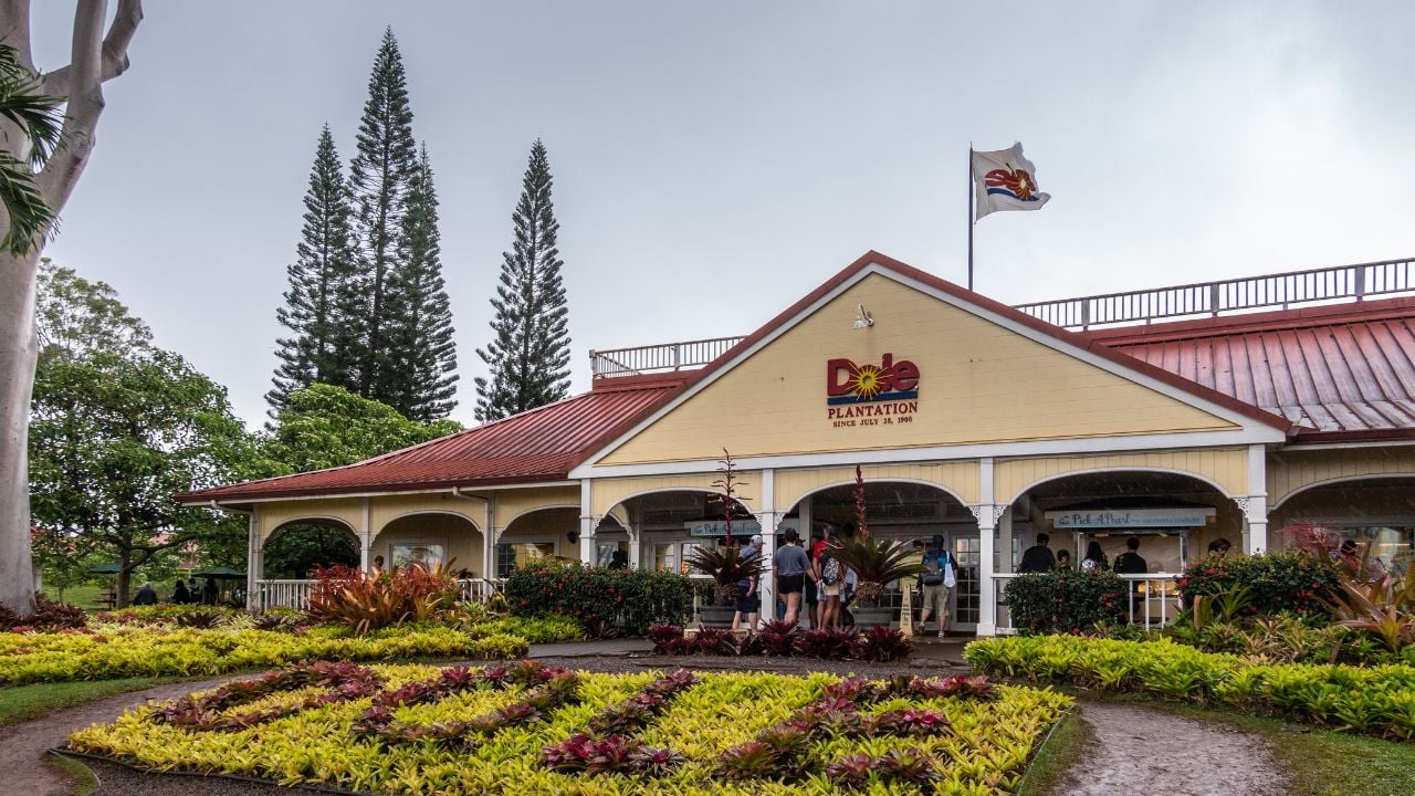 Wahiawa, Oahu, Hawaii, USA. - January 09, 2020: Welcome building, entrance to Dole pineapple plantation, museum and shop. Yellow wall, red roof, green, red and yellow vegetation under light blue sky.