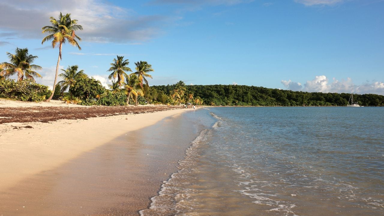 Sun Bay Beach in Vieques, Puerto Rico