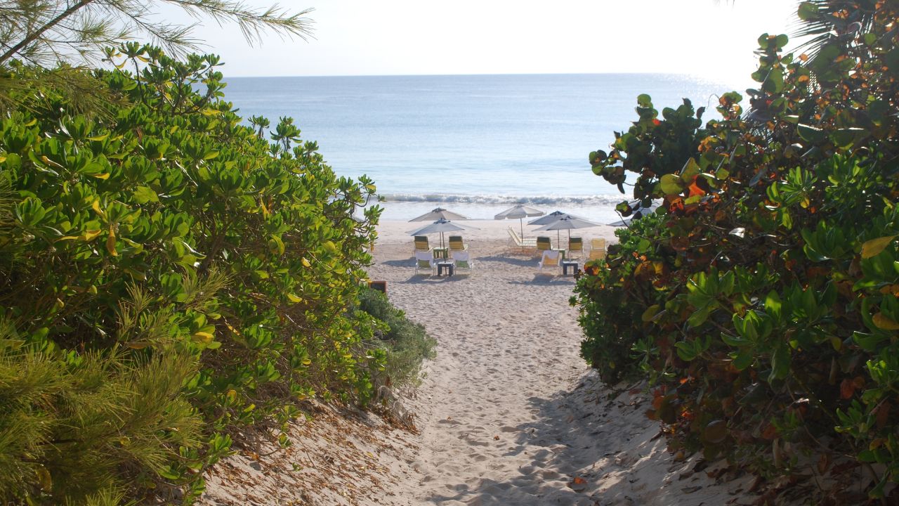 Relaxing pink sand beach scene on Harbour Island