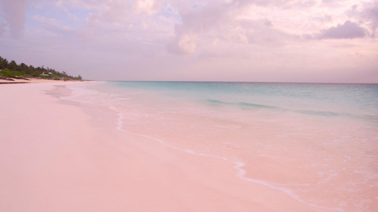 Pink sand shoreline on Harbour Island, Bahamas