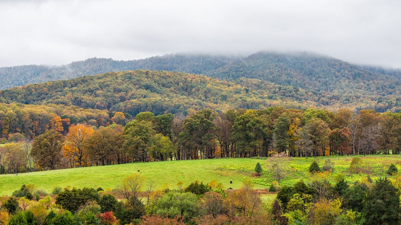 Rural countryside in Albemarle County, Virginia in autumn