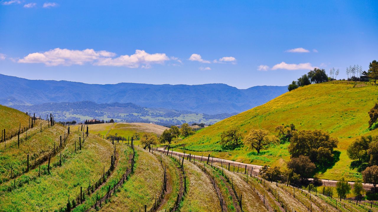 Santa Ynez Valley countryside in California