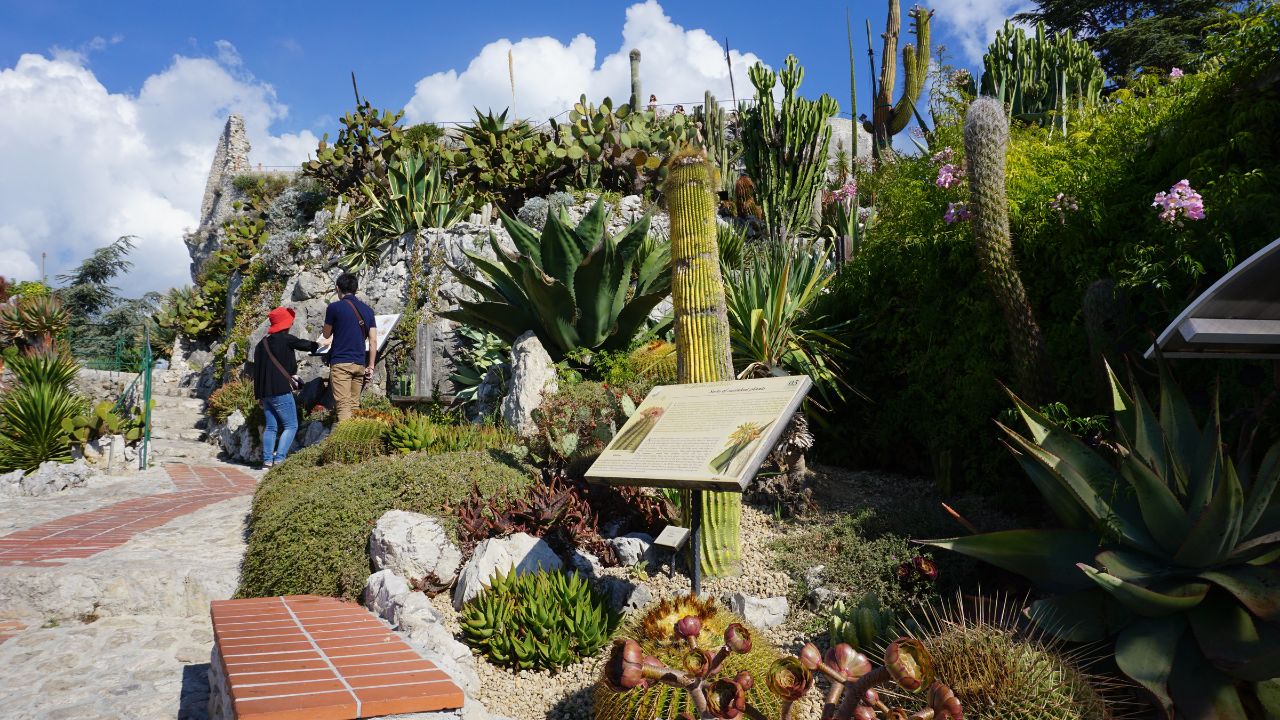 Stone walkways and cactus gardens at the Arizona-Sonora Desert Museum
