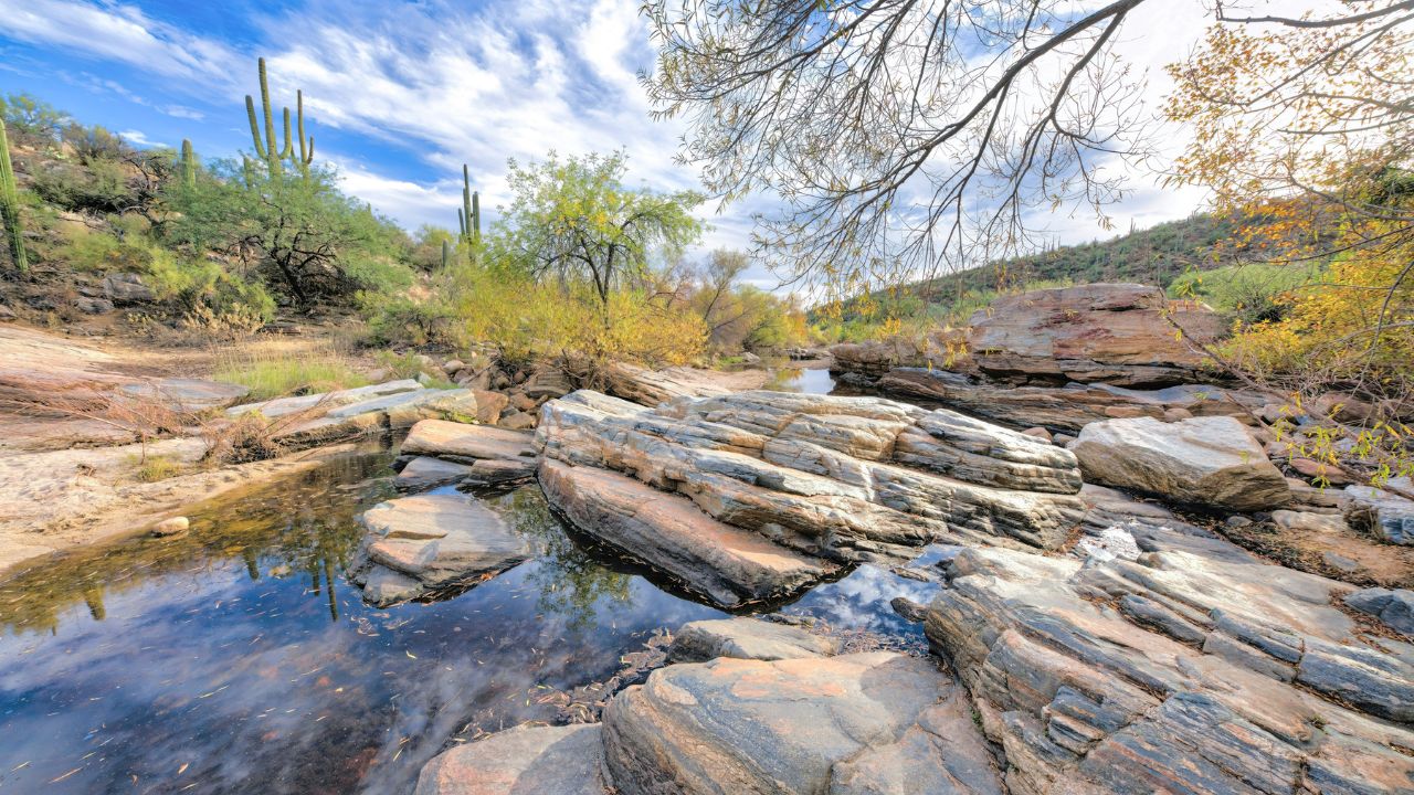 Sabino Creek in Sabino Canyon near Tucson, Arizona